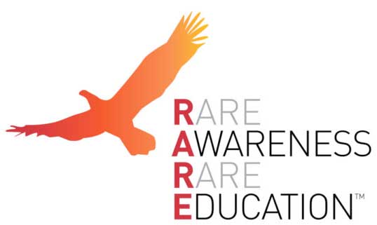 Portal-Logo